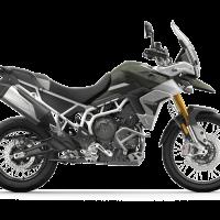 TIGER 900 RALLY PRO